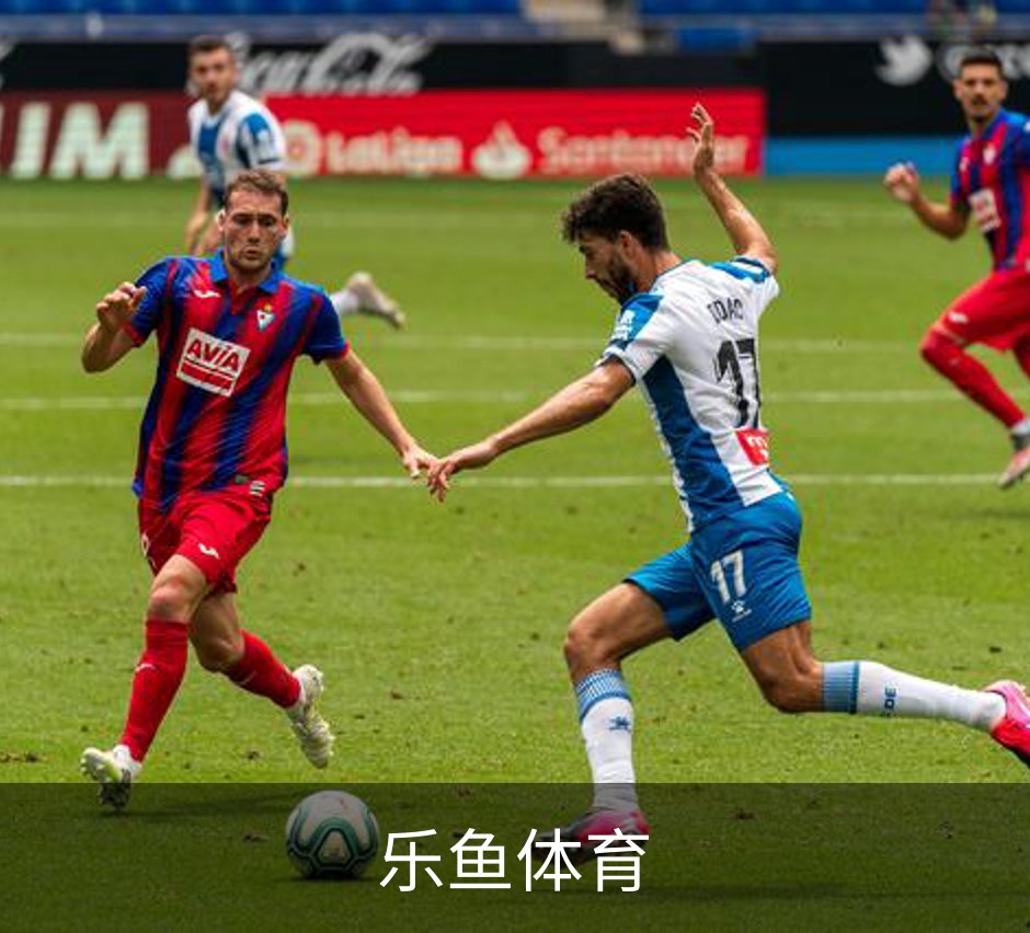 关于乐鱼体育